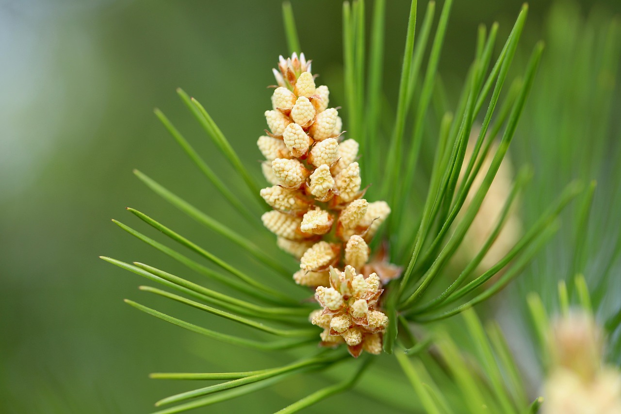 주방 싱크대 필터 설치 및 수돗물 잔류 염소 측정 매뉴얼