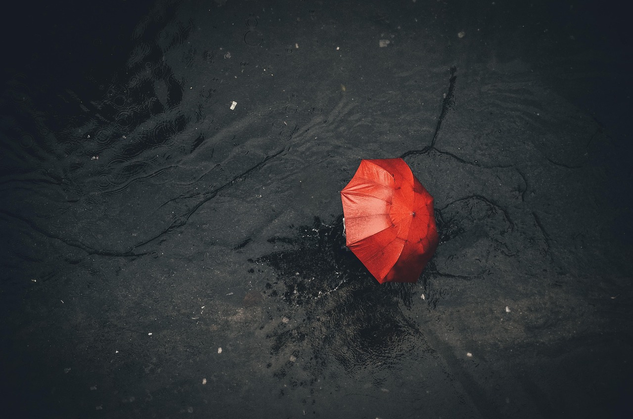 크릴오일 인지질 함량 확인 및 산패 걱정 없는 개별 포장 추천 8 크릴오일 인지질 함량 확인 및 산패 걱정 없는 개별 포장 추천