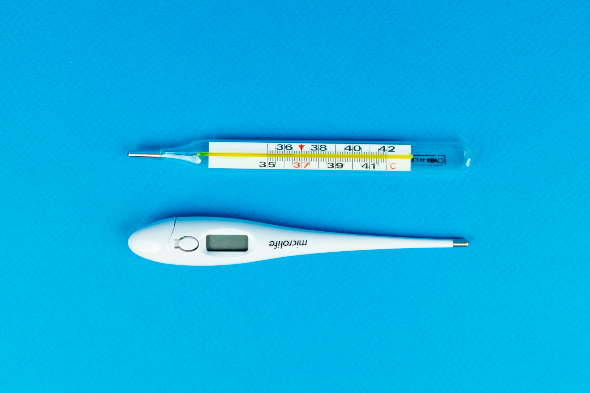 체온계 비접촉식 vs 귀적외선 정확도 비교 및 가정 상비용 추천