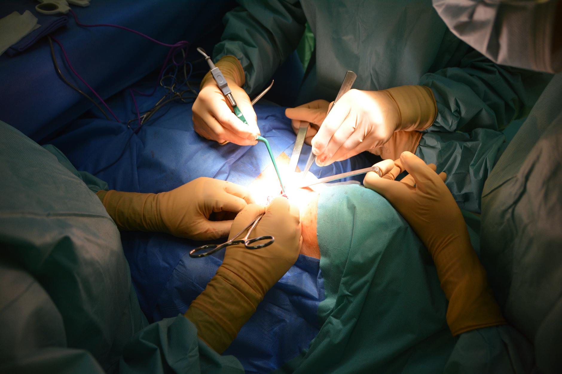 치질 연고 효과 없으면 수술? 치질 수술 비용 및 실비 보험 청구 정리