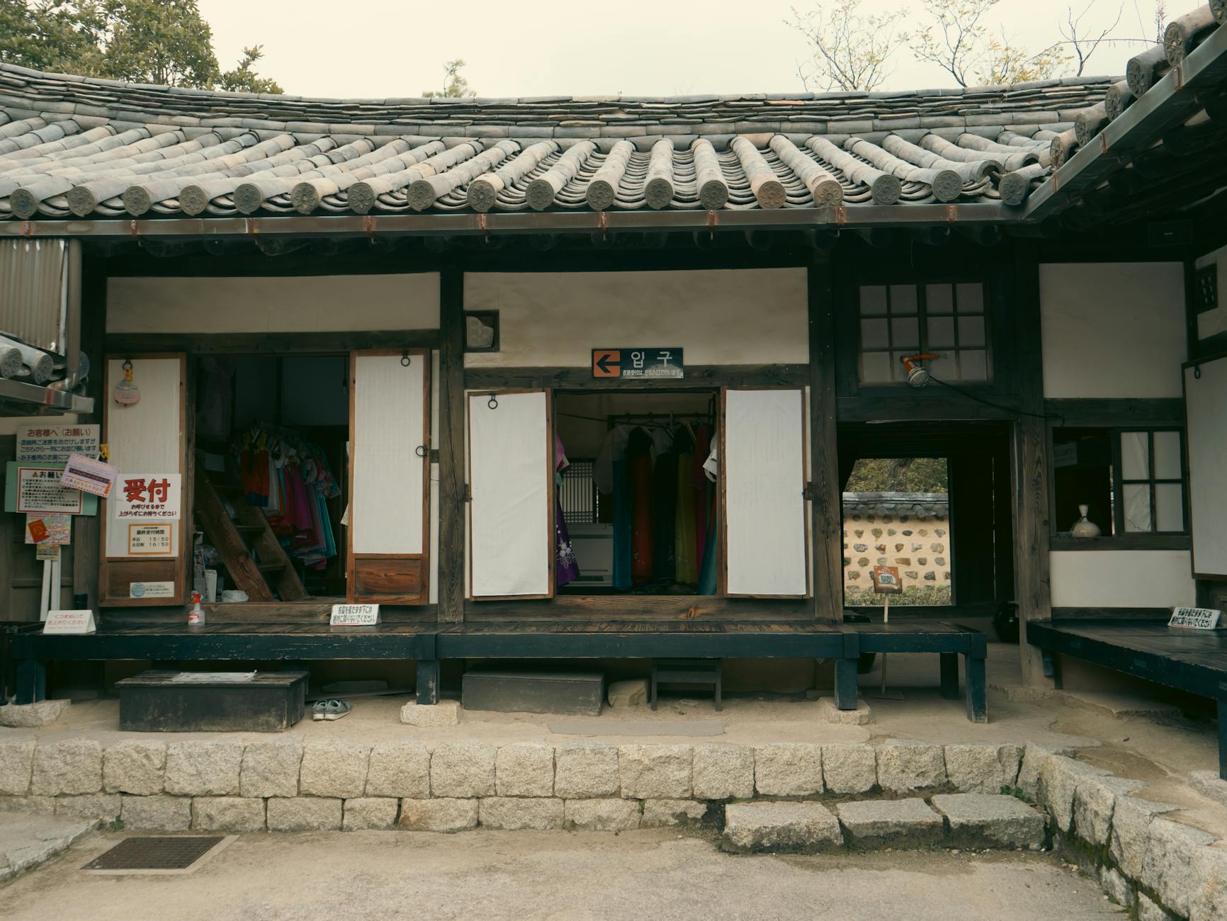 팔팔정 구구정 지속시간 및 강직도 차이 비교
